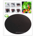 Soluble Organic Fertilizer EDDHA Fe 6%